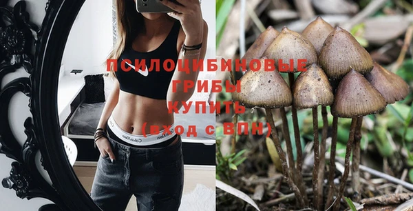 меф Богородицк