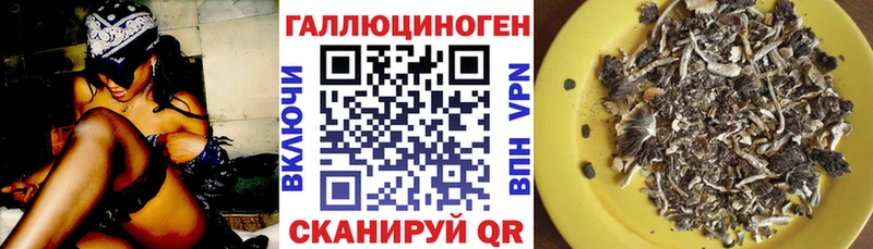 Псилоцибиновые грибы Psilocybine cubensis  Шали 