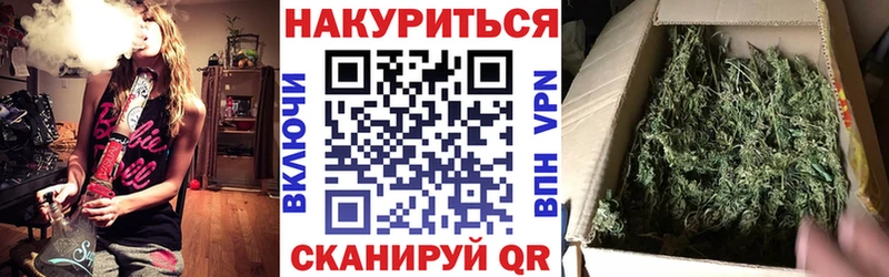 Канабис ГИДРОПОН  Шали 